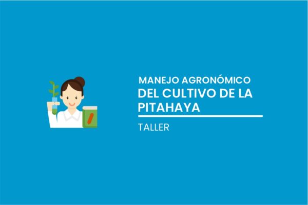 uso agronómico de la pitahaya