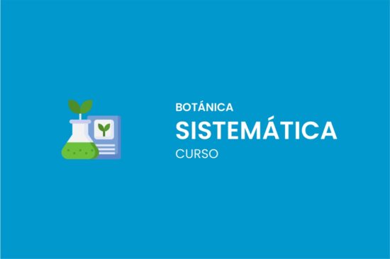 BOTANICA SISTEMATICA