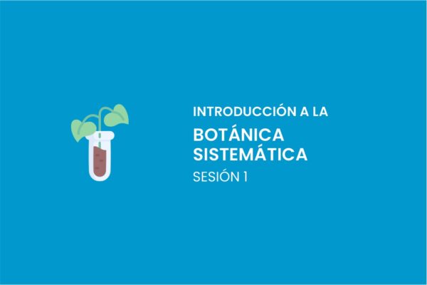 INTRODUCCION A LA BOTANICA SISTEMATICA